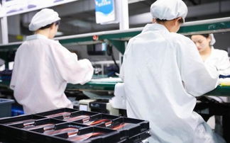 用夯實的基礎一步步走向巔峰,看vivo如何成為最受歡迎品牌